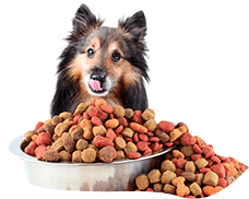 Petfood